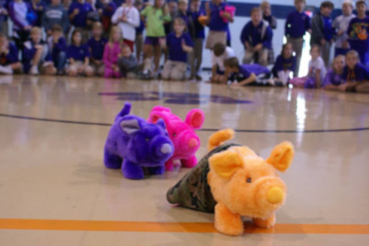 Students race toy pigs to celebrate fundraising effort