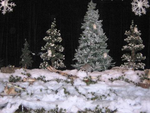 Darlington School Lower School Discovers Winter Wonderland