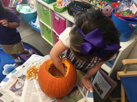 Image result for pumpkin carving prek