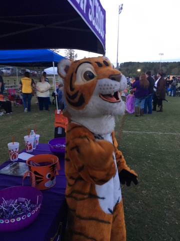 Tigers at the YMCA Boofest