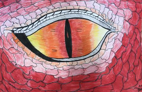How to Draw a Dragon Eye with Colored Pencil - THAT ART TEACHER