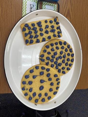 100th Day of School at the Smartie Retirement Home!