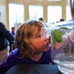 5th Grade Insect Expo