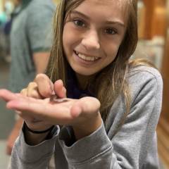5th Grade Insect Expo