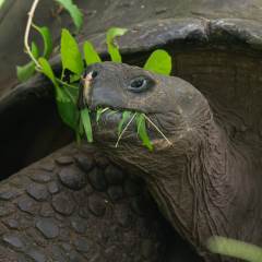 Spring Break in the Galapagos Islands