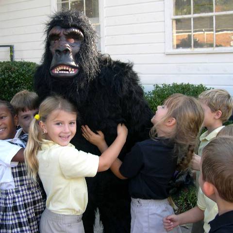 Darlington School: Private Boarding School in Georgia