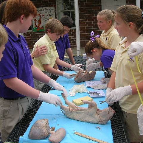Darlington School: Private Boarding School in Georgia
