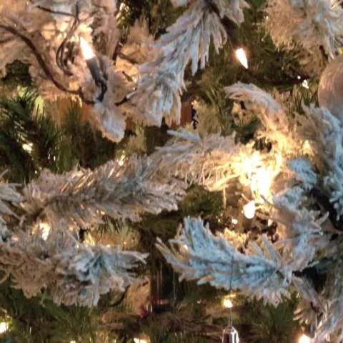 Darlington School: Private Boarding School in Georgia