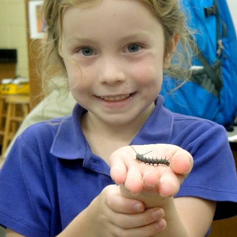 Darlington School: Private Boarding School in Georgia