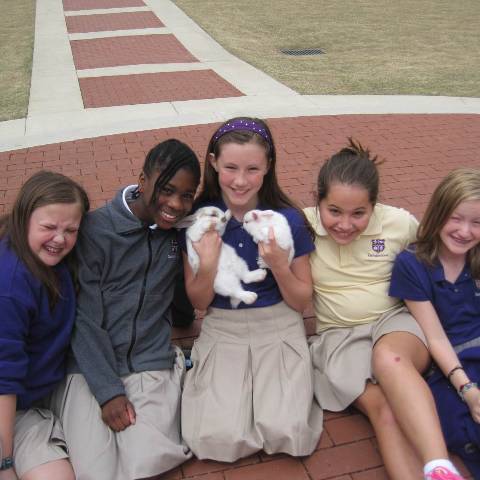 Darlington School: Private Boarding School in Georgia
