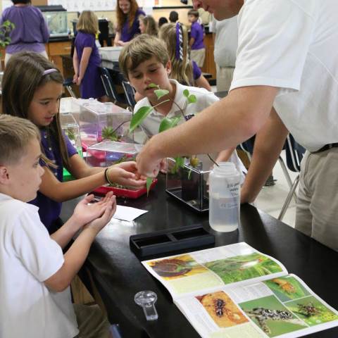 Darlington School: Private Boarding School in Georgia