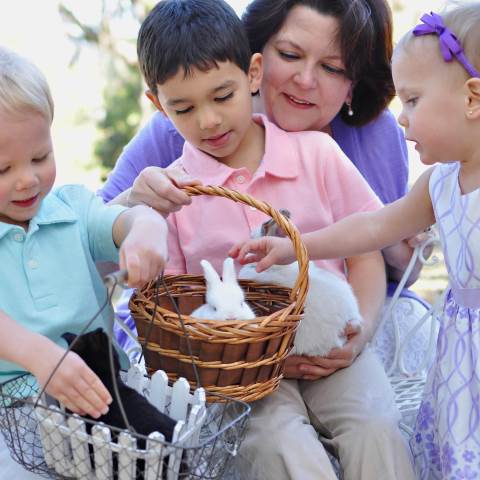 Darlington School: Private Boarding School in Georgia