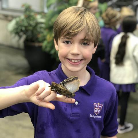 Darlington School: Private Boarding School in Georgia