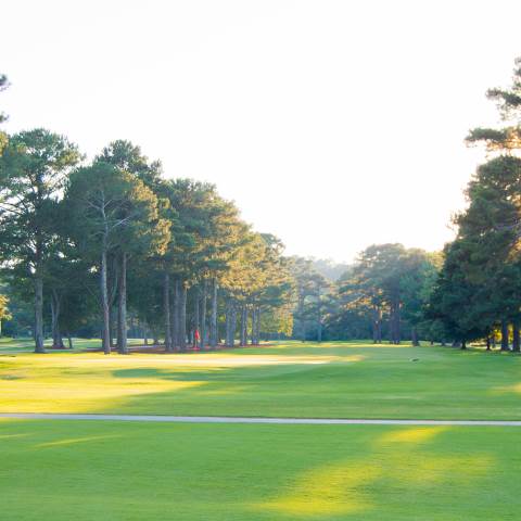 academy golf golfacademy darlingtonschool