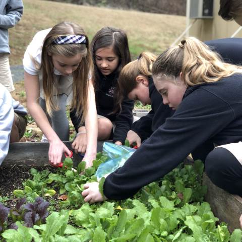Darlington School: Private Boarding School in Georgia