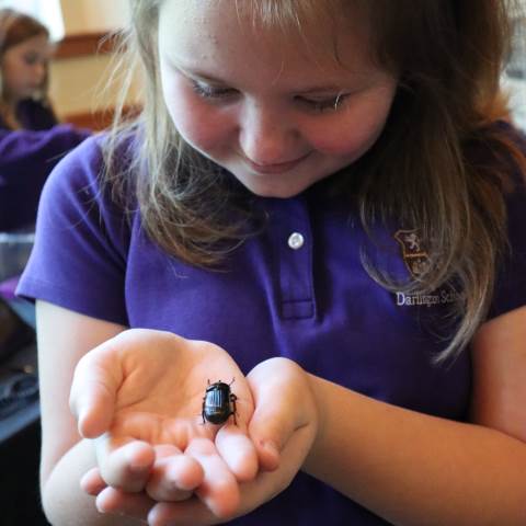 Darlington School: Private Boarding School in Georgia