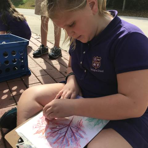 Darlington School: Private Boarding School in Georgia