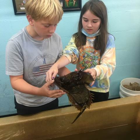 Darlington School: Private Boarding School in Georgia