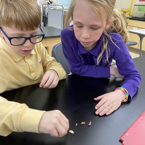 Darlington School: Private Boarding School in Georgia