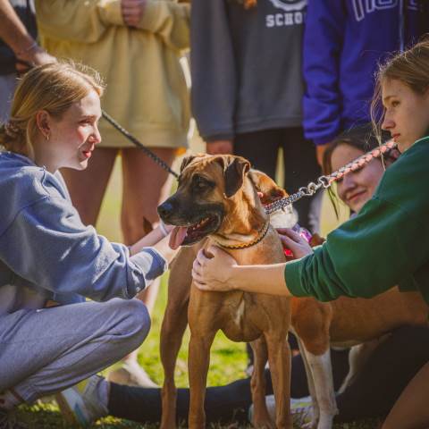 Darlington School: Private Boarding School in Georgia