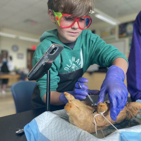 Darlington School: Private Boarding School in Georgia