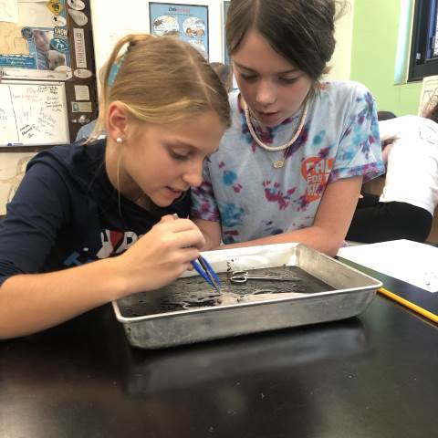 Darlington School: Private Boarding School in Georgia