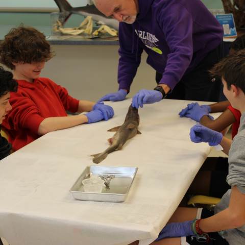 7th Grade Trip Day 4 - Aquarium and Shark Dissection