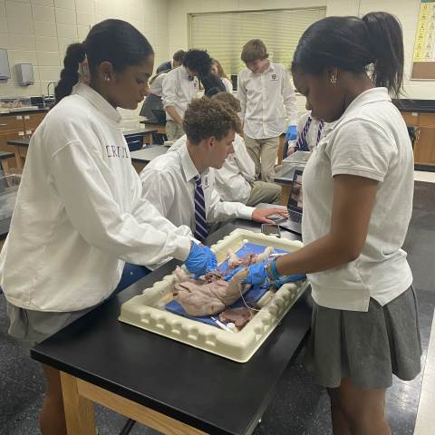 Darlington School: Private Boarding School in Georgia