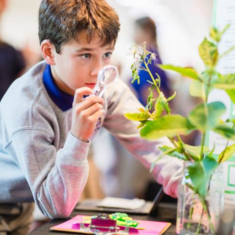 Darlington School: Private Boarding School in Georgia