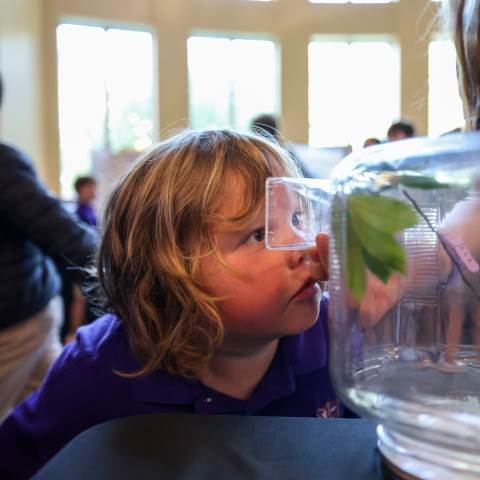 Darlington School: Private Boarding School in Georgia