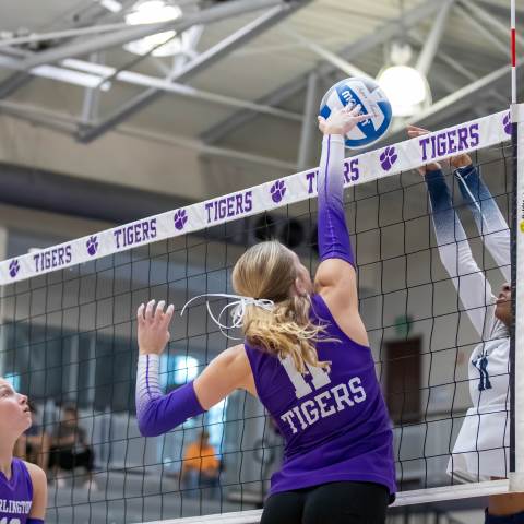 Darlington School Athletics: Private Boarding School, GAState Playoffs Round 1: Volleyball vs. Whitfield Academy