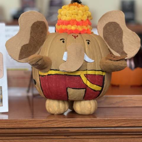 Darlington School: Private Boarding School in Georgia