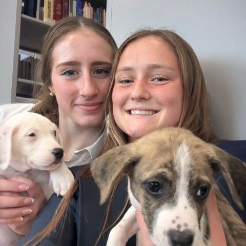 Darlington School: Private Boarding School in Georgia